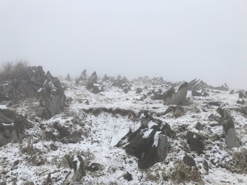 四国カルスト 天狗高原 は雪化粧 虎次郎の盛春日記
