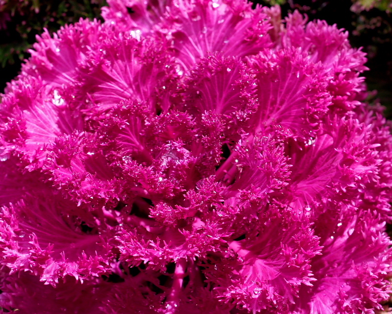c0305565_17425596.jpg