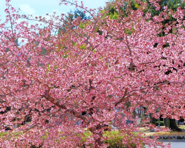 c0305565_17445139.jpg