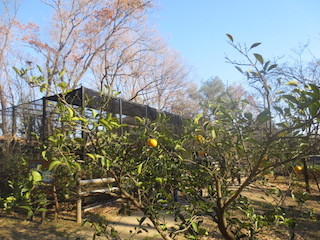 d0389166_22332809.jpg