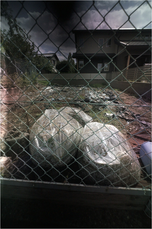 c0168172_17415111.jpg