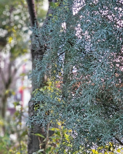 e0264374_12173847.jpg