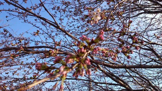 b0224776_16163297.jpeg