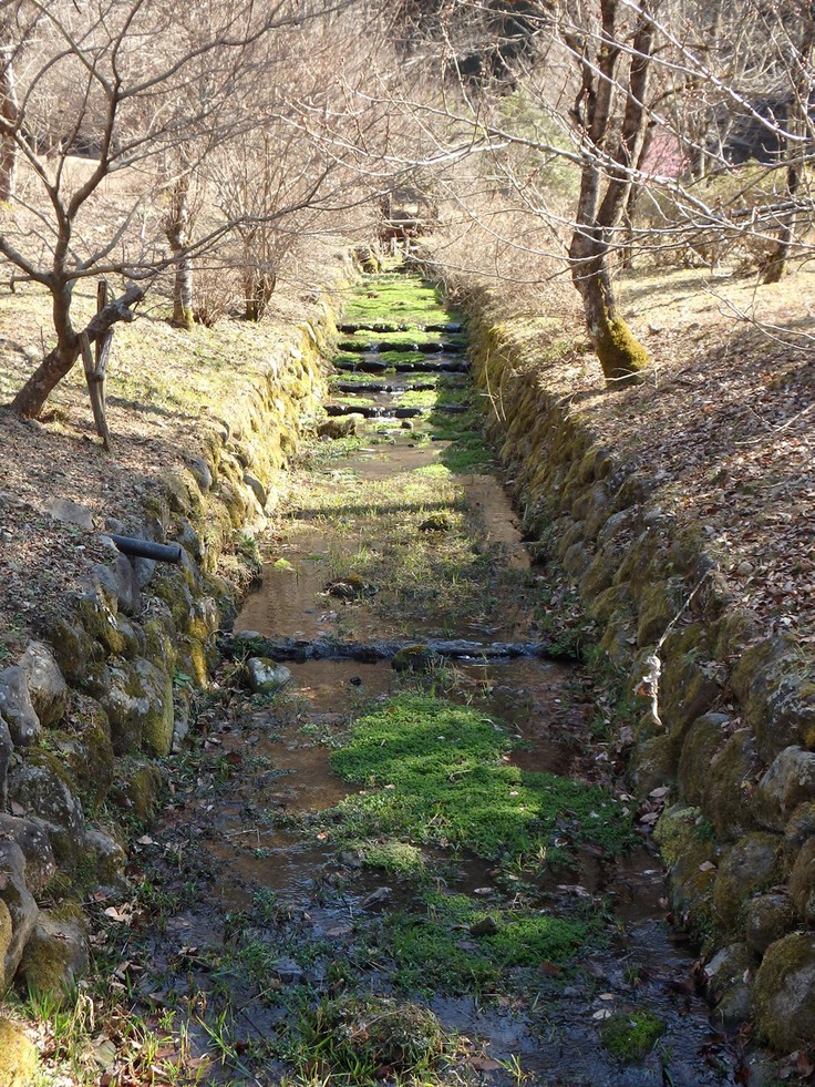 『観光列車ながらと明建神社とフィールドミュージアム風景』_d0054276_20361581.jpg