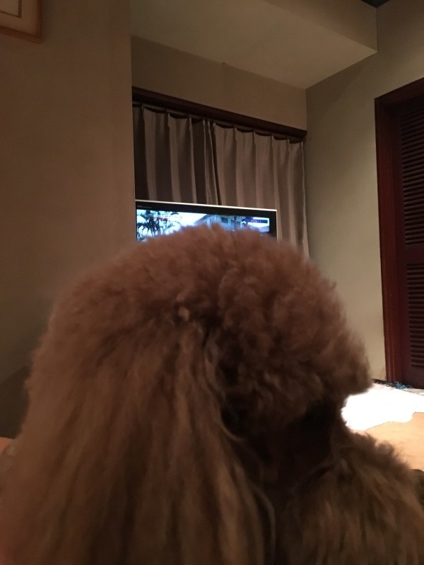 c0283778_16304437.jpeg