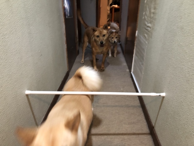 b0377882_14315364.jpeg