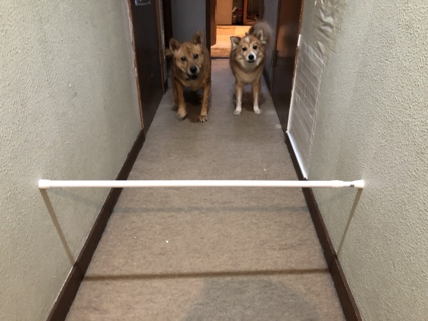 b0377882_14320855.jpeg