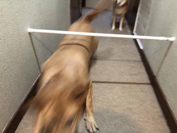 b0377882_14322492.jpeg