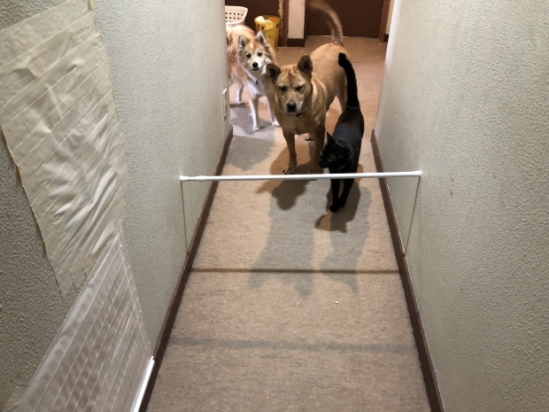 b0377882_14330630.jpeg