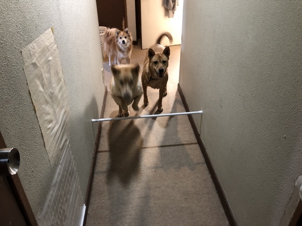 b0377882_14340514.jpeg