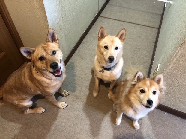 b0377882_14361519.jpeg