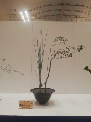 池坊長崎県連合支部いけばな池坊展_d0195183_00033431.jpg