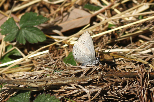 d0353091_20272555.jpg