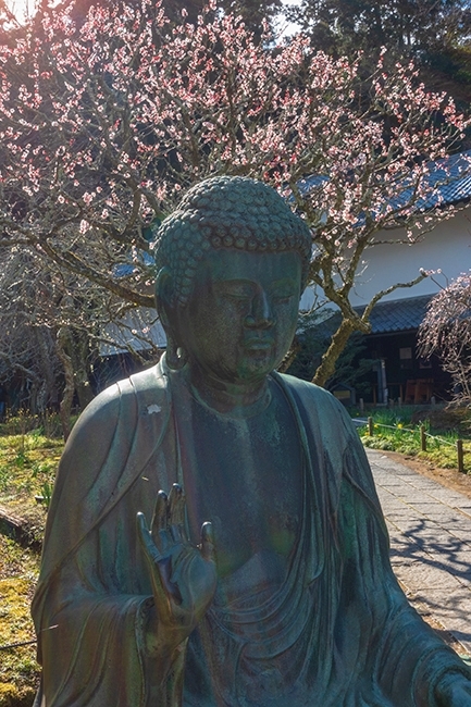 横須賀線に乗って北鎌倉へ_b0145398_00031058.jpg