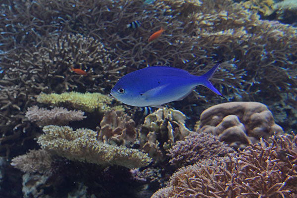 a0278809_15374791.jpg