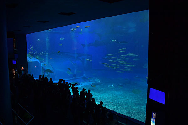 a0278809_15391239.jpg