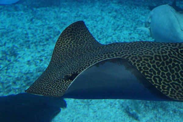 a0278809_15402464.jpg