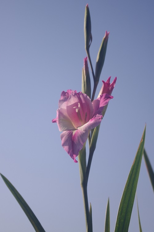 c0147909_07464553.jpg