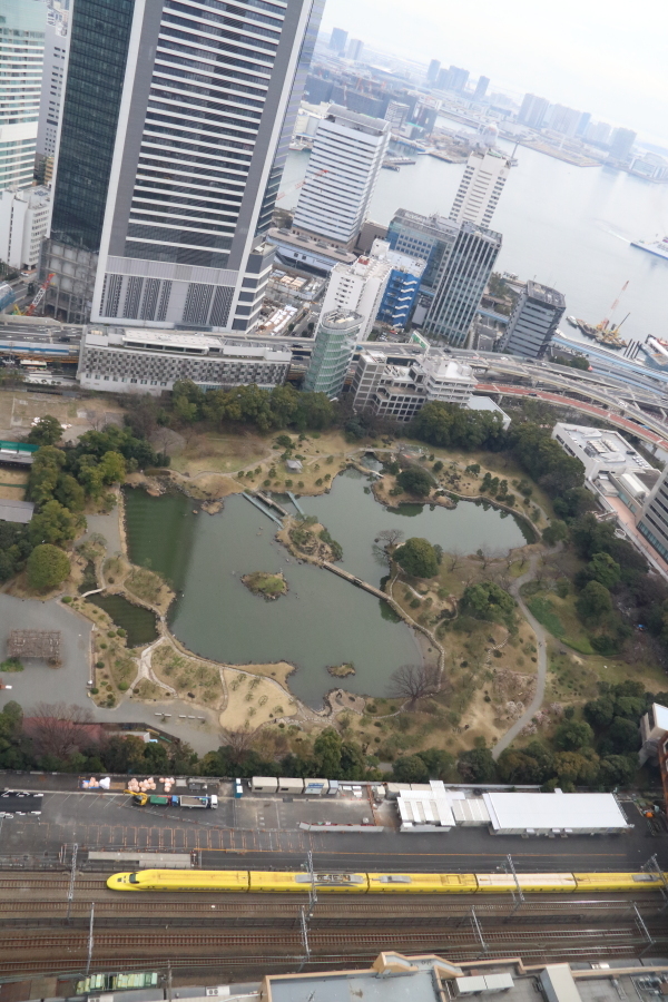 寒々しい芝離宮の横を鮮やかな黄色が駆け抜ける - 2019年・ドクターイエロー -_b0190710_23100068.jpg
