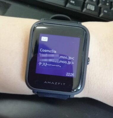 Amazfit Bipが来た_c0018617_08191774.jpg