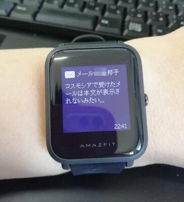 Amazfit Bipが来た_c0018617_08453796.jpg