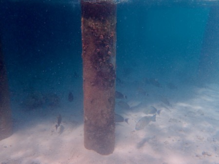 e0387424_12463917.jpg