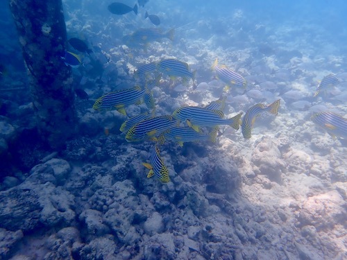 e0387424_12464039.jpg