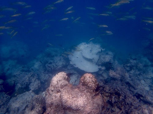 e0387424_12474243.jpg