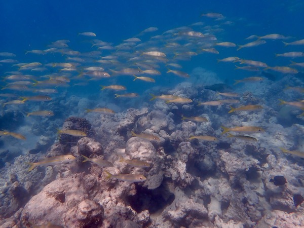 e0387424_12474253.jpg