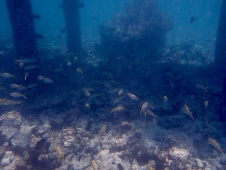 e0387424_12474275.jpg