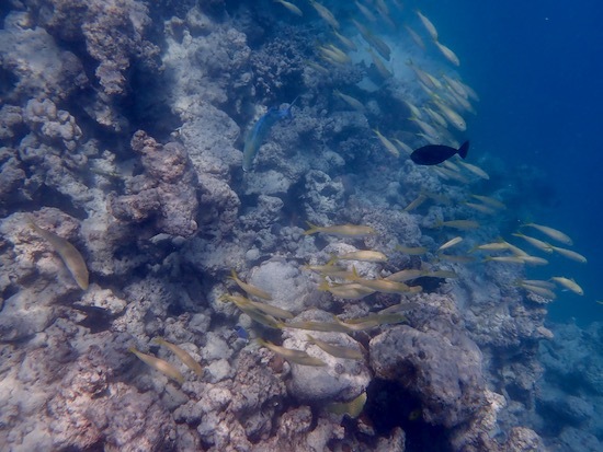 e0387424_12495776.jpg
