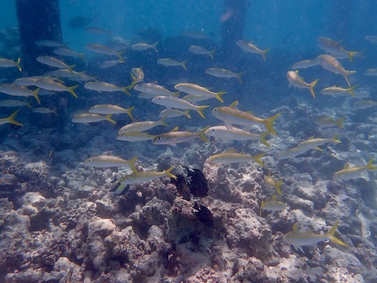 e0387424_12495789.jpg
