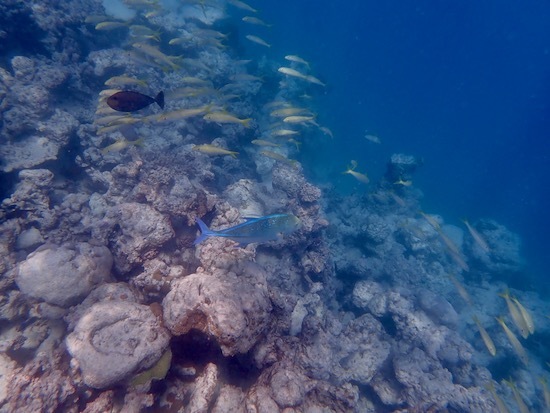 e0387424_12495813.jpg