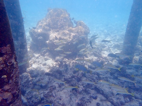 e0387424_12495859.jpg