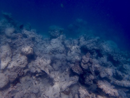e0387424_12495882.jpg