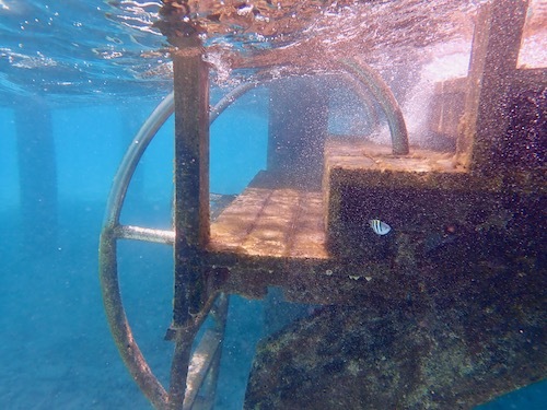 e0387424_12514205.jpg