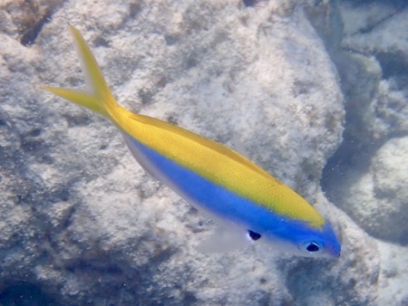 e0387424_13062107.jpg