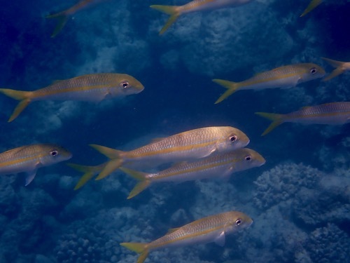e0387424_13123097.jpg