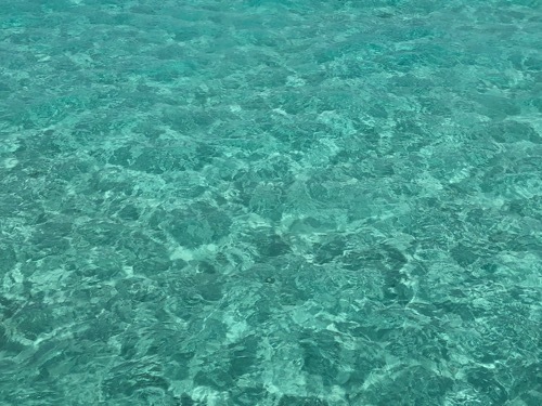 e0387424_13335331.jpg