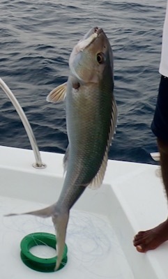 e0387424_17554593.jpg