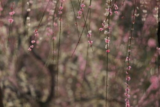 e0311229_00221565.jpg