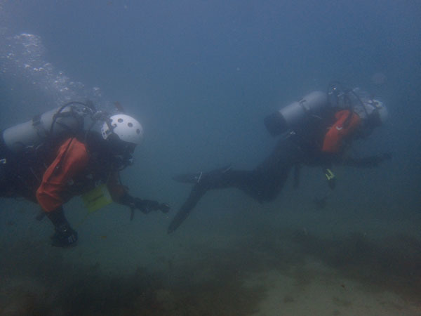 d0164831_17210267.jpg