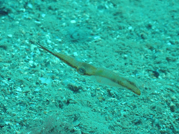 d0164831_17253028.jpg