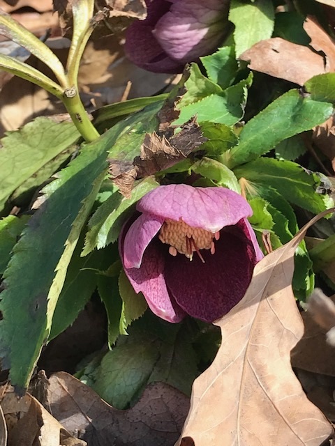 d0269832_09442341.jpeg