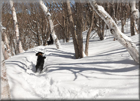 3月の雪遊び　#3　＠峰の原高原_f0363141_10401713.jpg