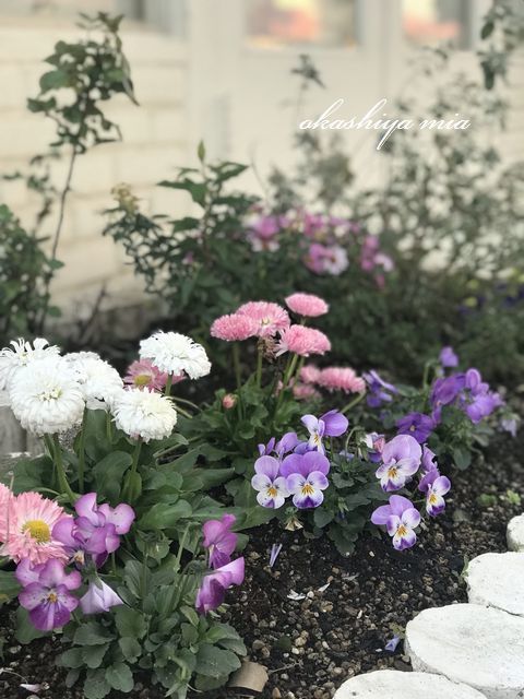 ありがとうございました!_a0274443_09422526.jpeg