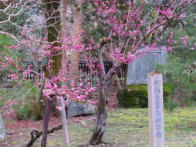 京都御苑「明治天皇生誕地(中山家)」20190311_e0237645_17570342.jpg