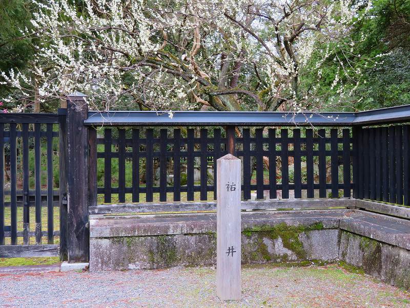 京都御苑「明治天皇生誕地(中山家)」20190311_e0237645_17570344.jpg