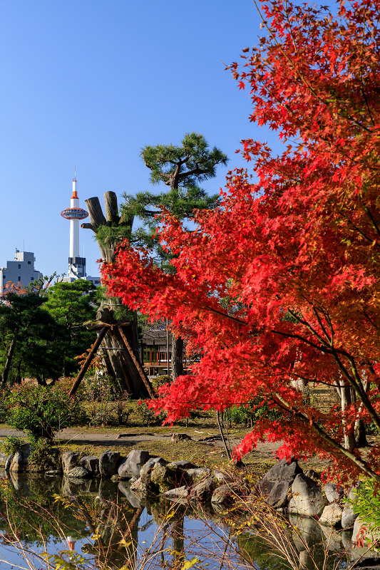 京の紅葉18 渉成園の秋 花景色 K W C Photoblog 京の紅葉18 渉成園の秋 花景色 K W C Photoblog