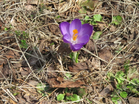 b0238249_09443268.jpg
